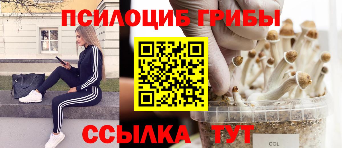 Галлюциногенные грибы мицелий  Галлюциногенные грибы Psilocybine cubensis  Каменск-Уральский  Вход с VPN 
